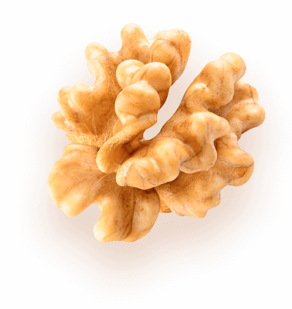 Греций орех